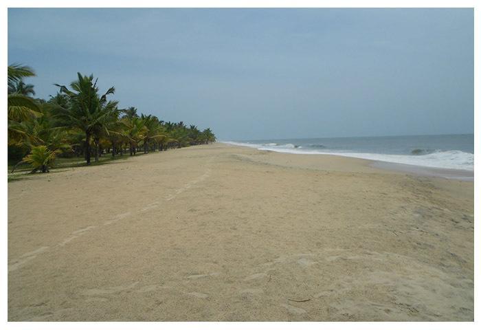 Marari Beach Paradise Mararikulam Extérieur photo